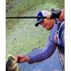 Shimano Curado DC Low Profile Baitcasting Reels