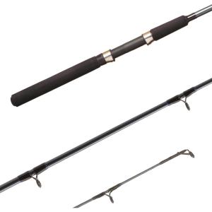 Shimano FXS 2 Piece Spinning Rod
